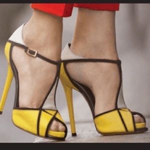 Roger Vivier high heel